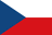 Tomáš Souček flag