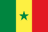 Kalidou Koulibaly flag