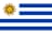 Manuel Ugarte flag